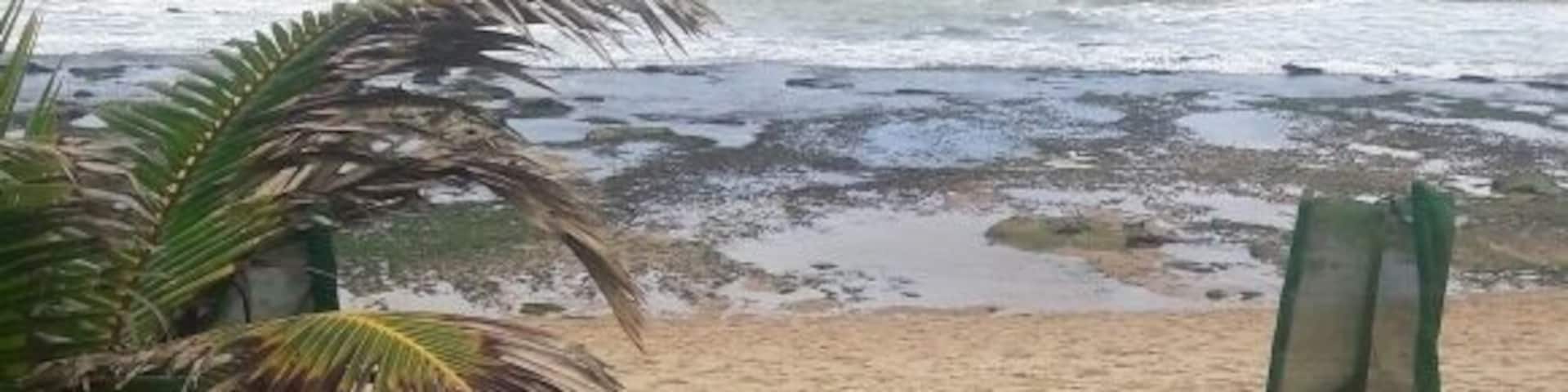 Tarde de setembro de 2017.Um lindo lugar para descansar, observar a natureza.Lauro de FREITAS. Bahia.Brasil.