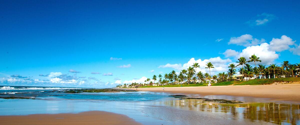 A beach with clear blue water, sandy shore, and palm trees.