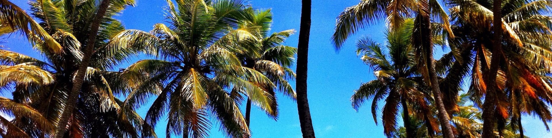 Beautiful beach near Salvador airport. #waterlust #bahia #brazil