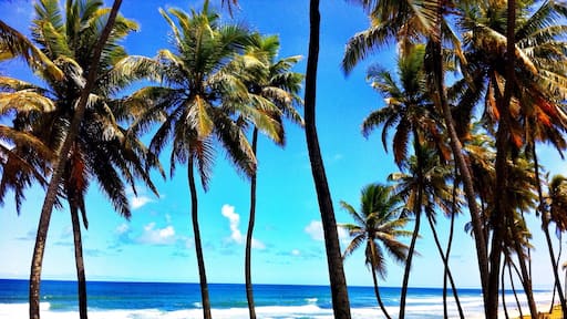 Beautiful beach near Salvador airport. #waterlust #bahia #brazil