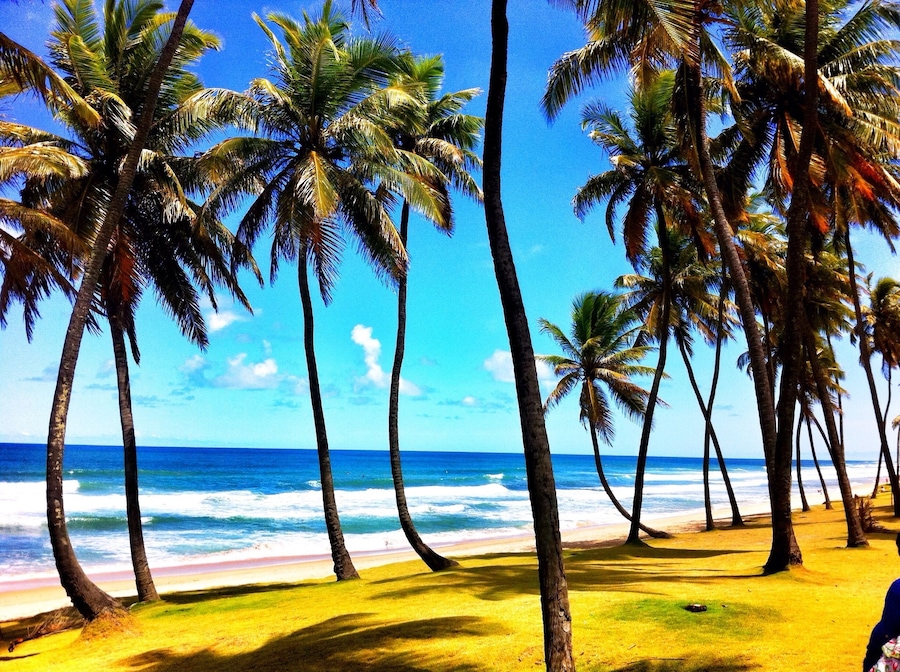 Beautiful beach near Salvador airport. #waterlust #bahia #brazil