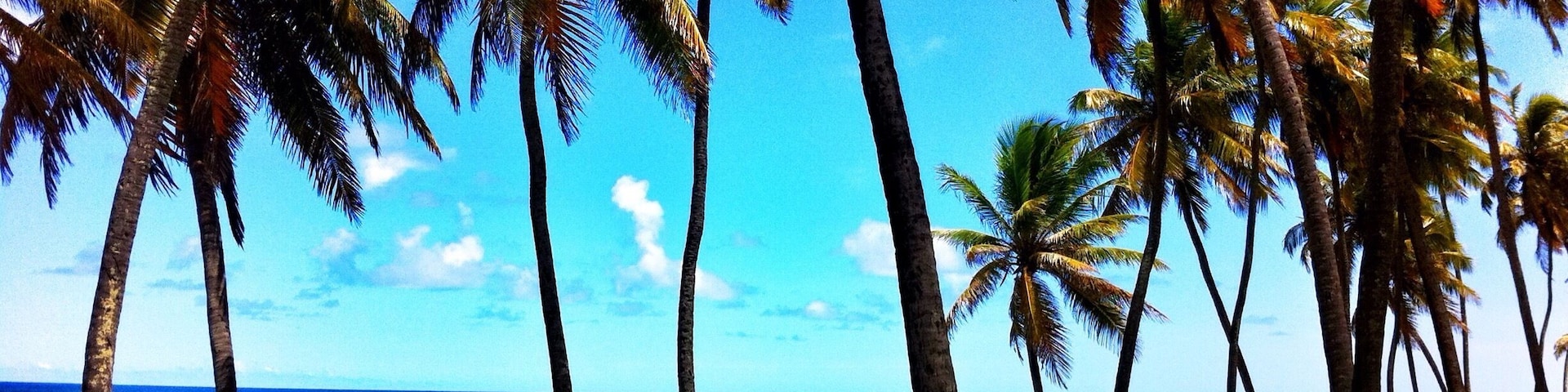 Beautiful beach near Salvador airport. #waterlust #bahia #brazil