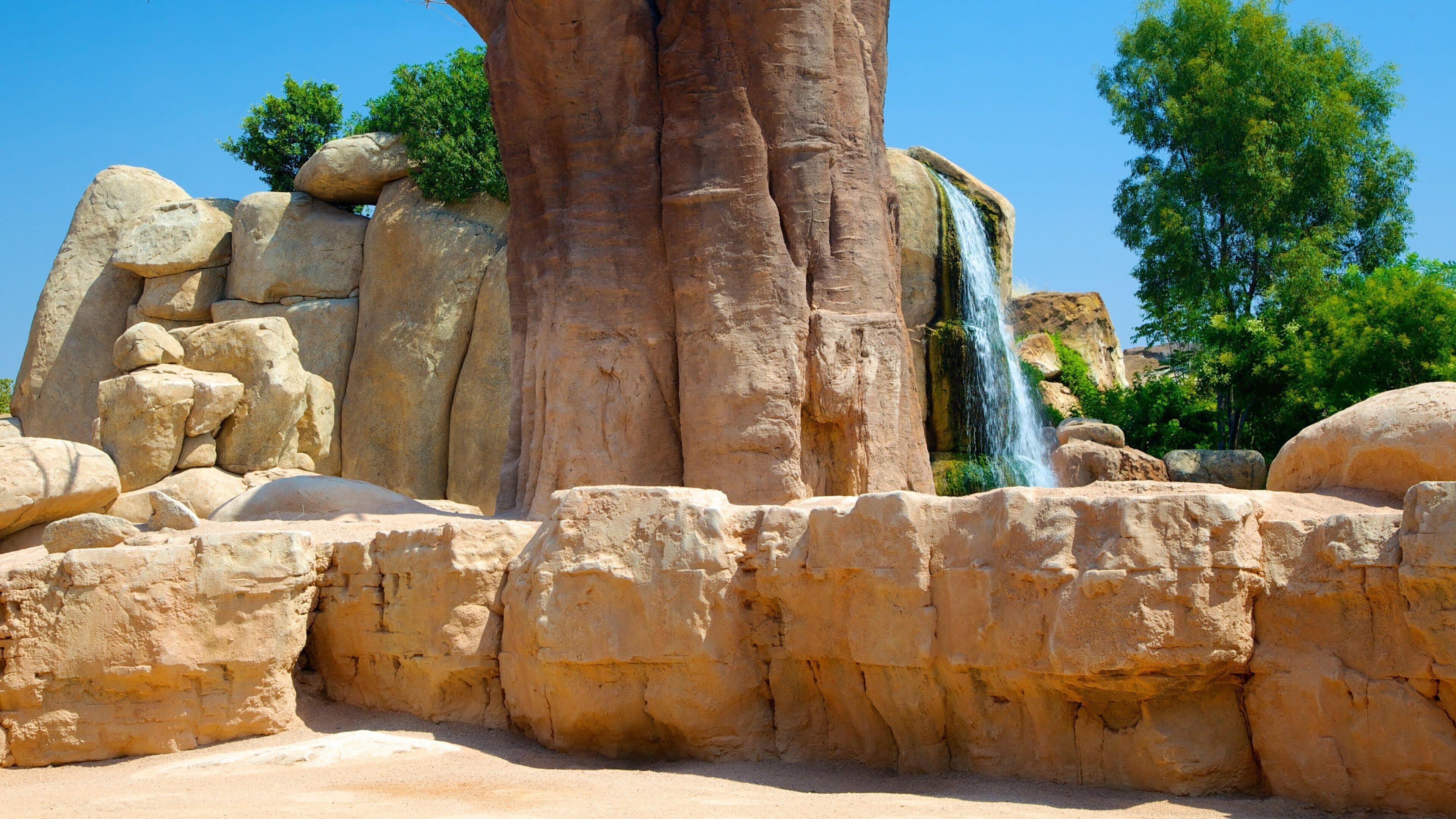 Bioparc Valencia Zoo showing zoo animals and a waterfall