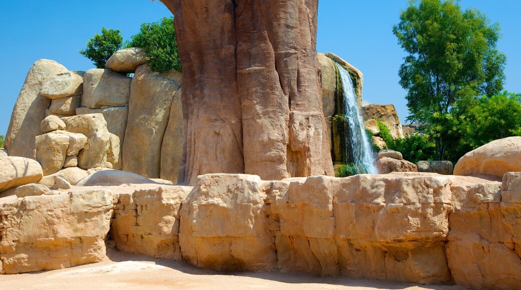 Bioparc Valencia Zoo showing zoo animals and a waterfall