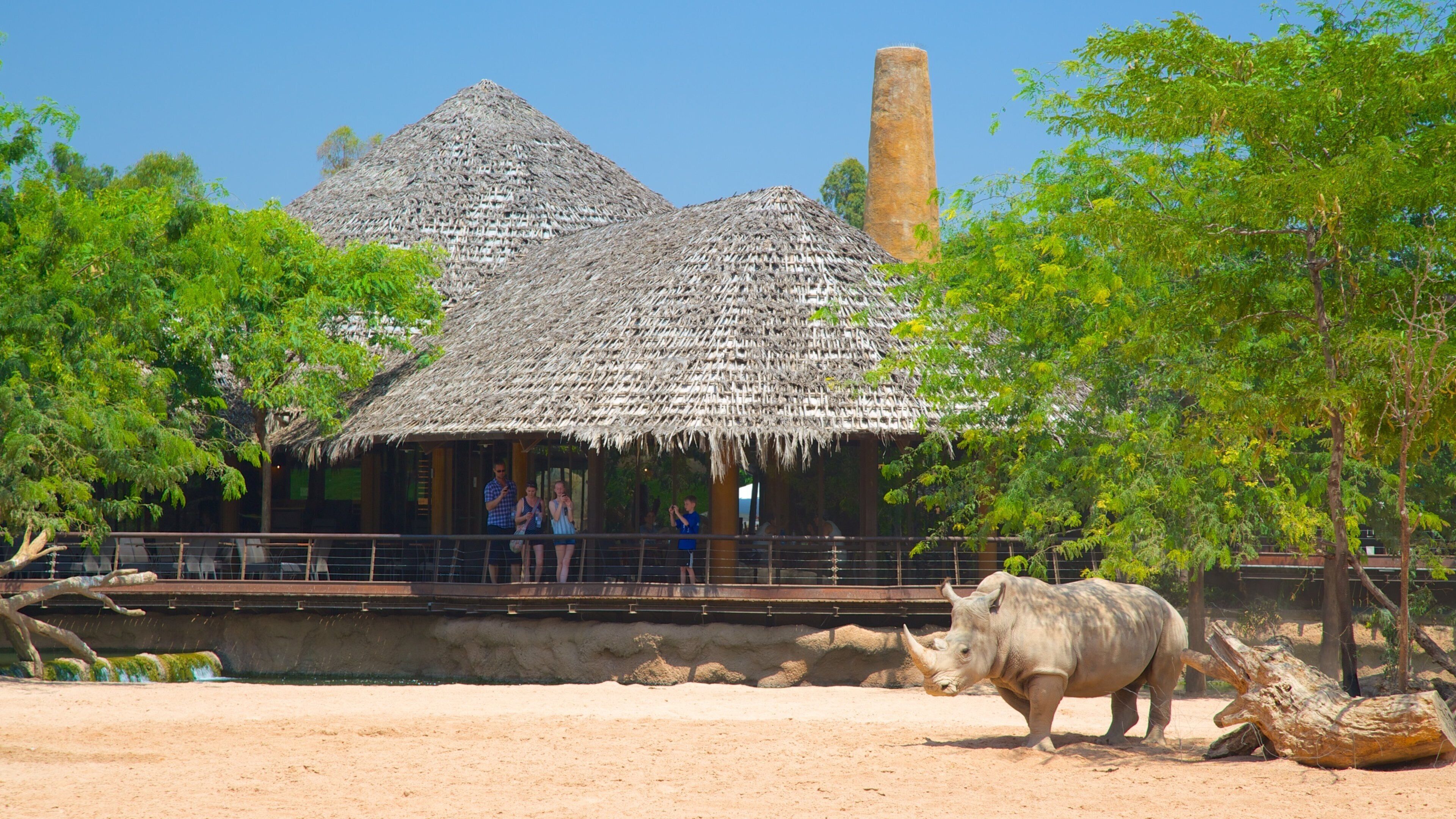 Erlebnis-Zoo Bioparc