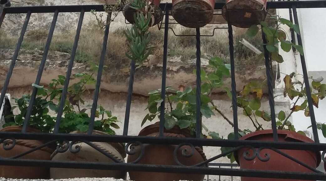 View on the castle from down in the village