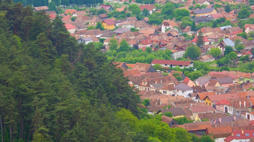 Rasnov featuring heritage architecture and a house