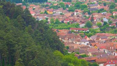 Rasnov which includes a house and heritage architecture