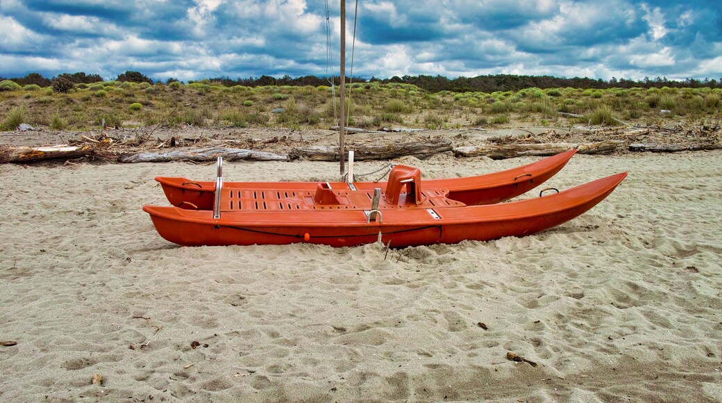 Picturesque view on Italian sandy beach Marina di Vecchiano nearby Pisa, Tuscany Italy