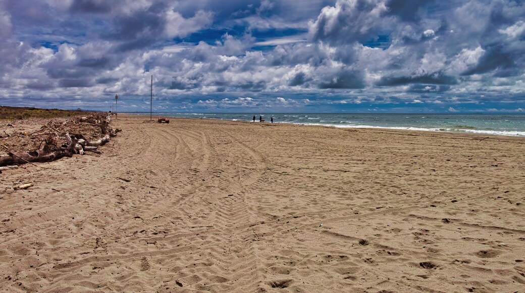 Picturesque view on Italian sandy beach Marina di Vecchiano nearby Pisa, Tuscany Italy