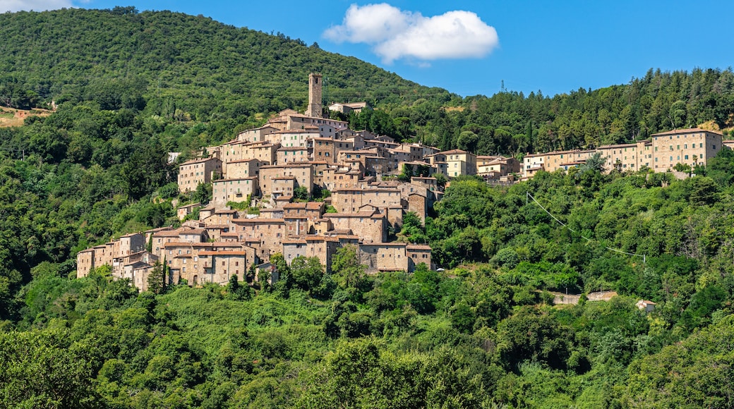 Castelnuovo di Val di Cecina