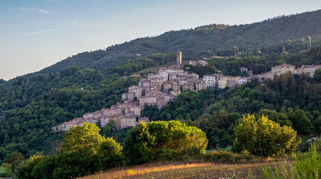 Castelnuovo di Val di Cecina