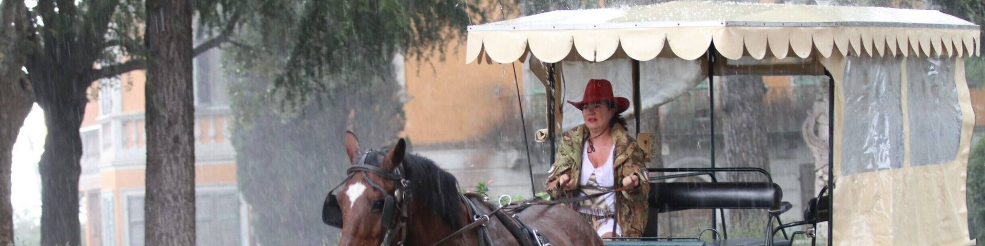 A Tuscan cowgirl in a hailstorm. Not often you see that.