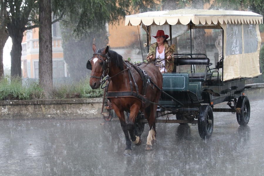 A Tuscan cowgirl in a hailstorm.  Not often you see that.