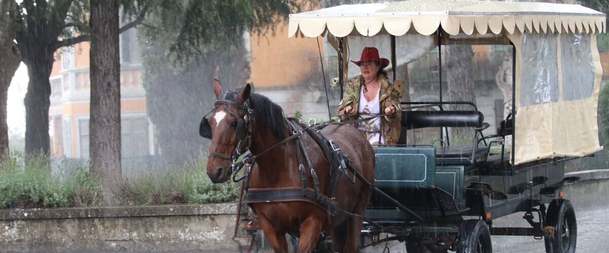 A horse-drawn carriage in the rain.