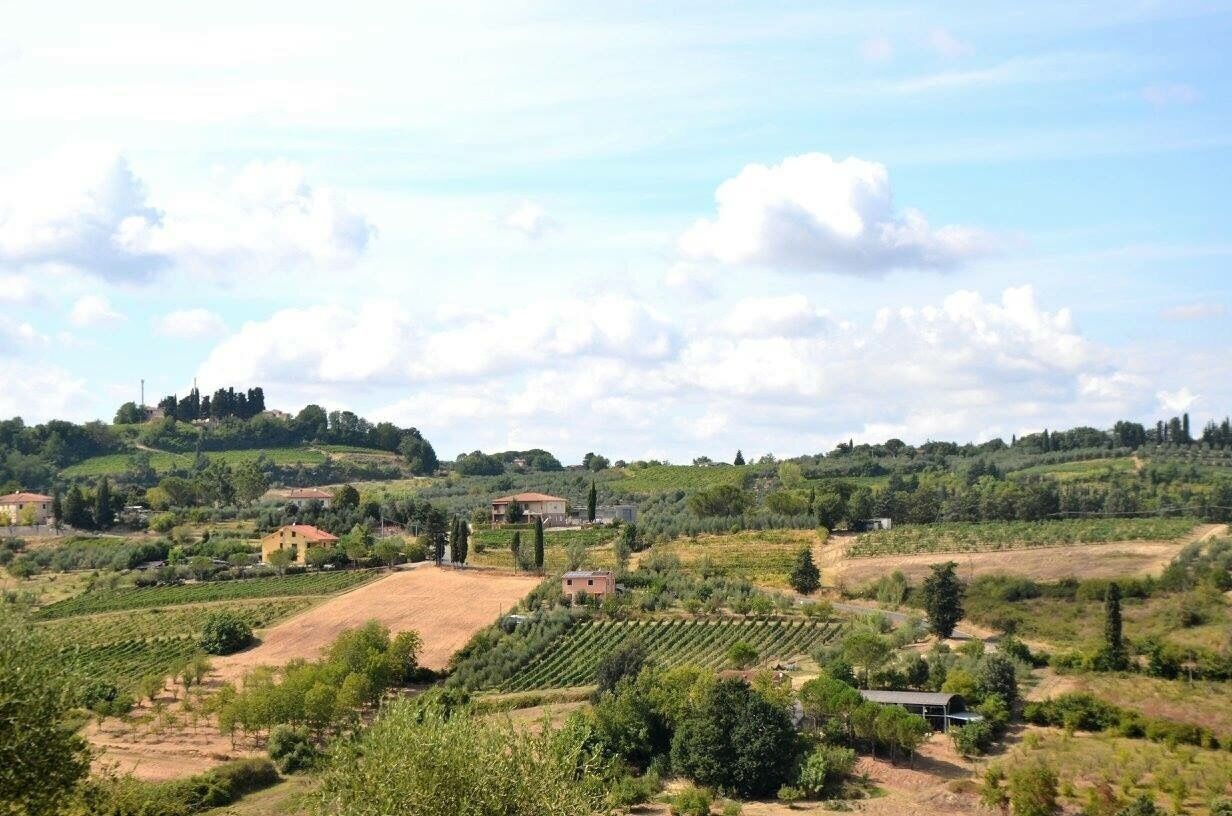 This #green and classic Tuscan landscape was the view from Fattoria Fibbiano. We stumbled on this winery on our drive from Pisa to our Airbnb in Radicondoli. It was a fabulous first stop in our spontaneous wine touring through Tuscany! 