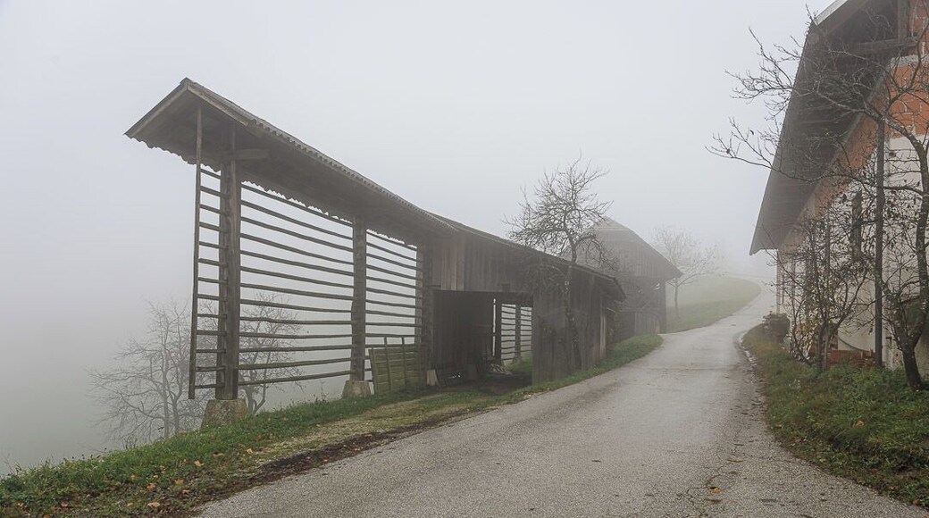 Traditional hayracks (Kozolec) in the village of Spodnja Luša in Slovenia on a misty morning.
These kozolec are all over Slovenia. We initially wondered what they were for and learnt that there were hayracks and are unique to Slovenia.