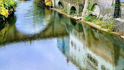 Nice reflection of the houses near Stone Bridge