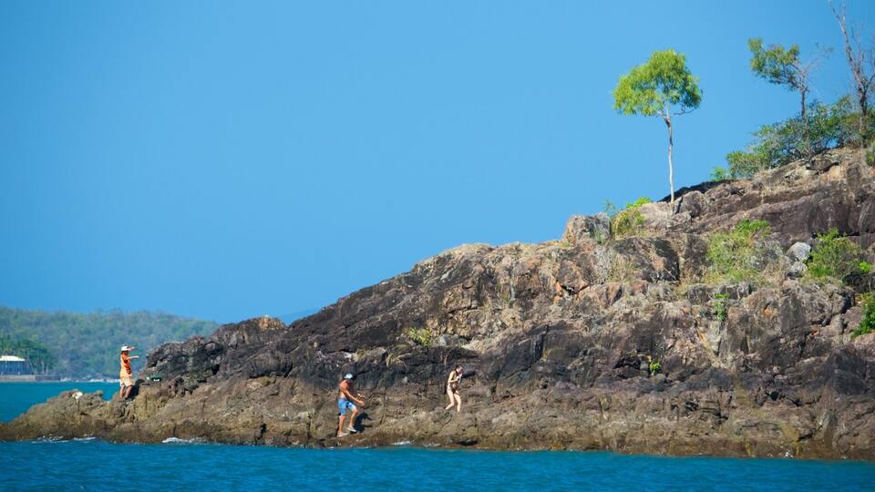 A rocky coastline with clear blue water, a few people near the water, and sparse vegetation on the rocks.
