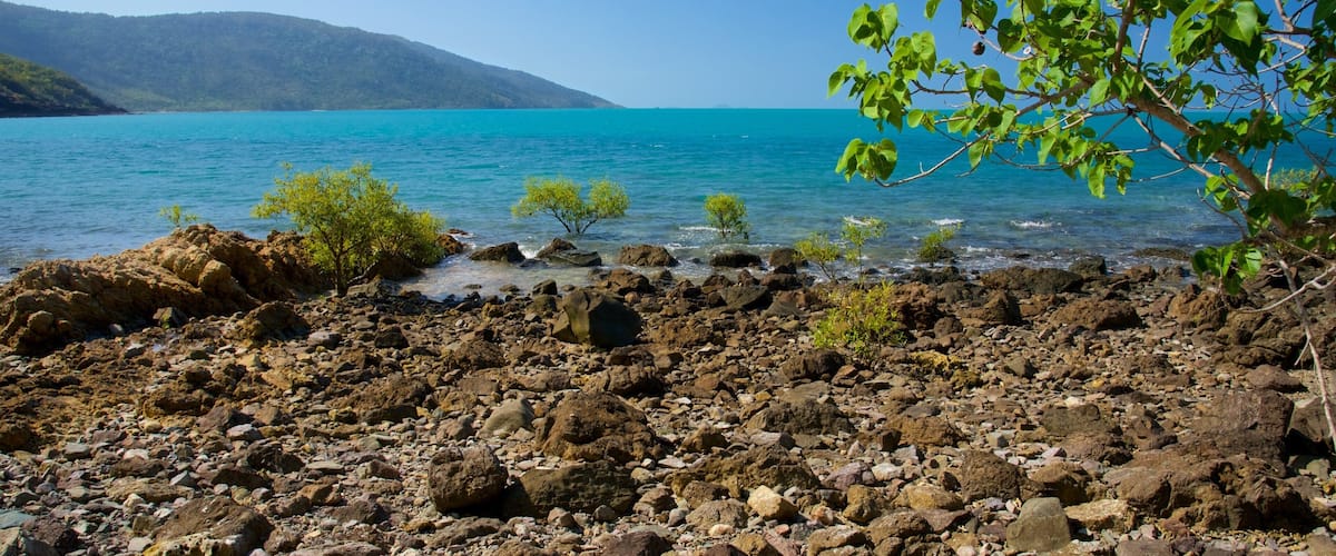 Shute Harbour featuring general coastal views and landscape views