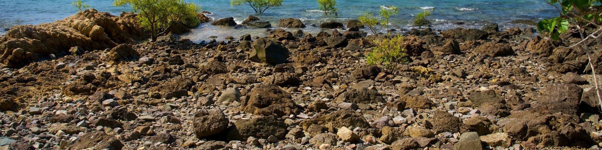 Shute Harbour mettant en vedette vues littorales et panoramas