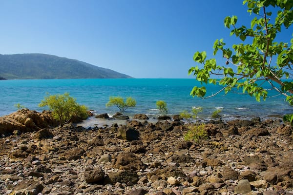 Shute Harbour mettant en vedette vues littorales et panoramas