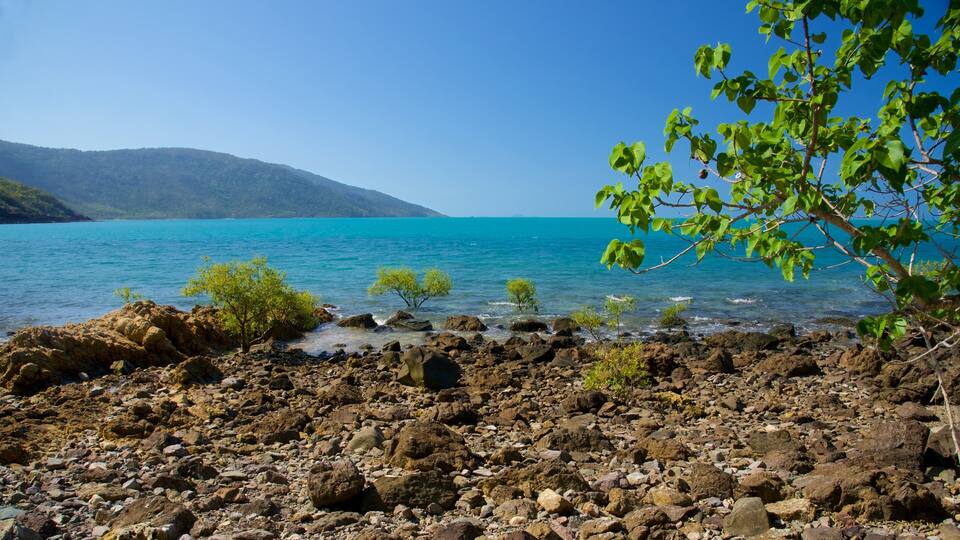 A rocky shoreline with clear turquoise water and green foliage.