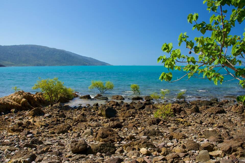A rocky shoreline with clear turquoise water and green foliage.