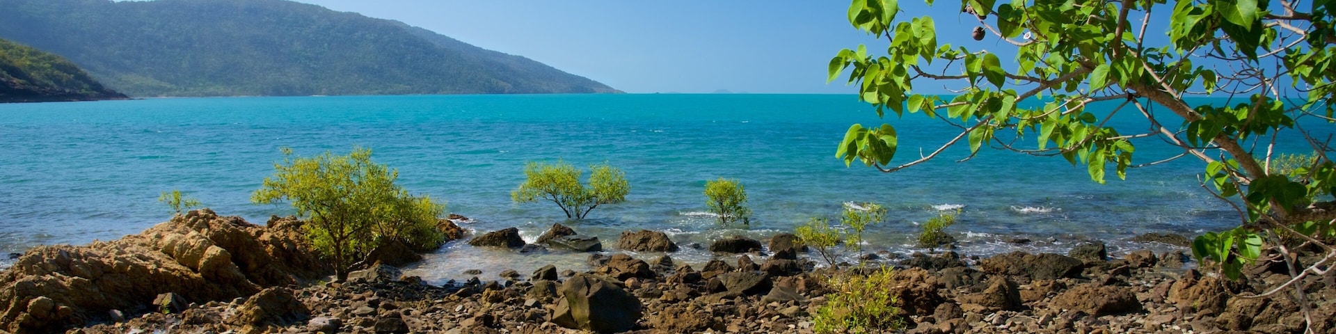 Shute Harbour which includes general coastal views and landscape views