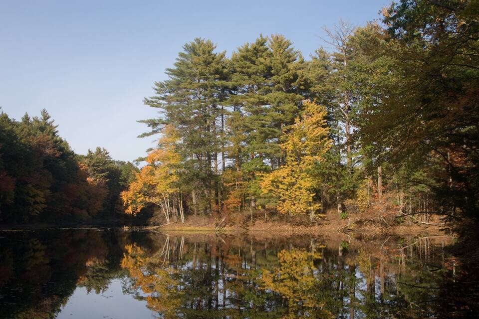 A calm lake surrounded by autumn-colored trees and a clear sky.