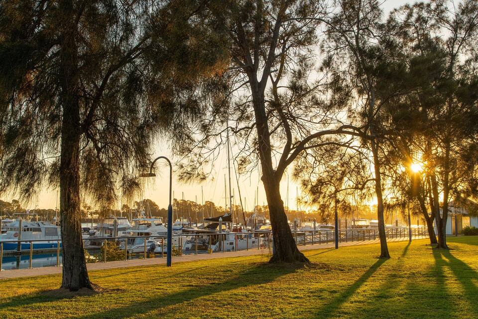 A marina with boats, trees, and a sunset.