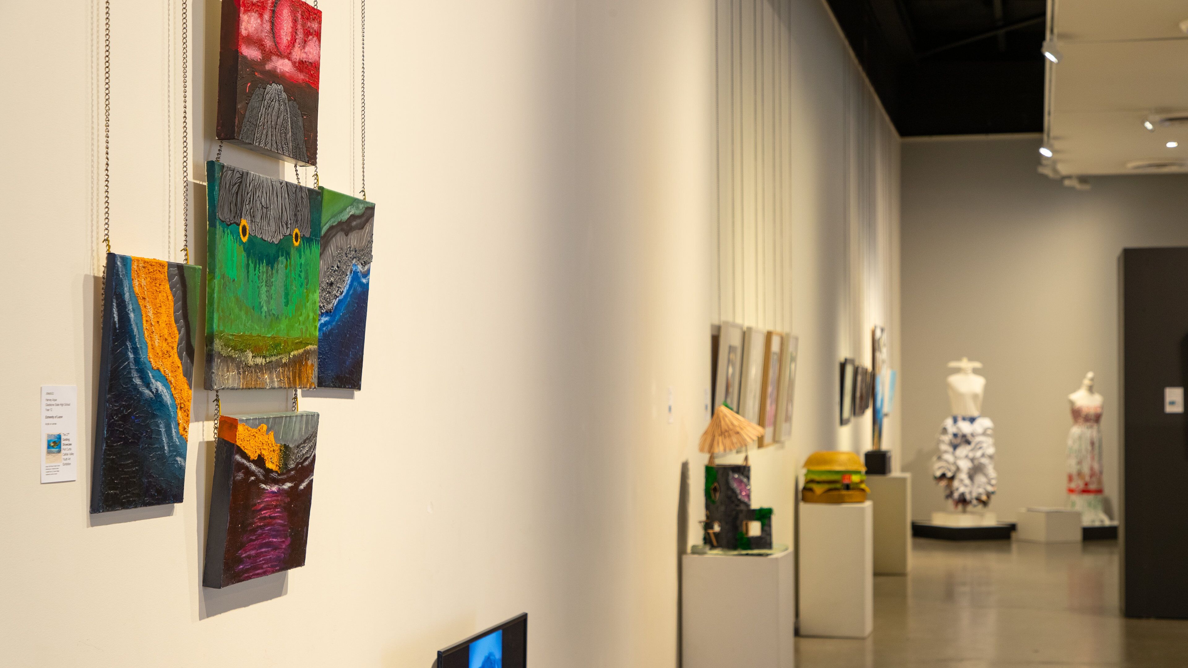 Gladstone Art Gallery and Museum showing interior views and art