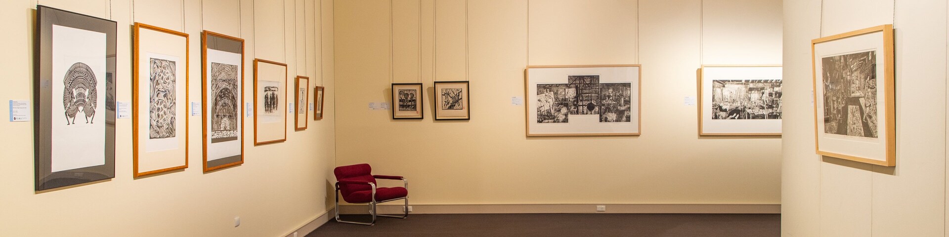 Gladstone Art Gallery and Museum showing art and interior views