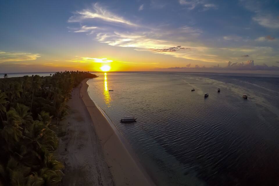 A beach with palm trees and boats on the water during sunset.