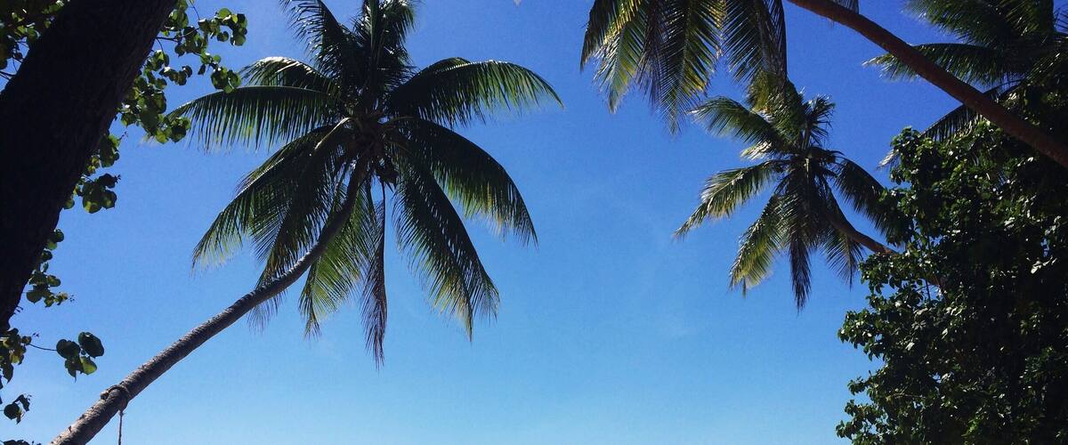 Likuri Island - Fiji #beach