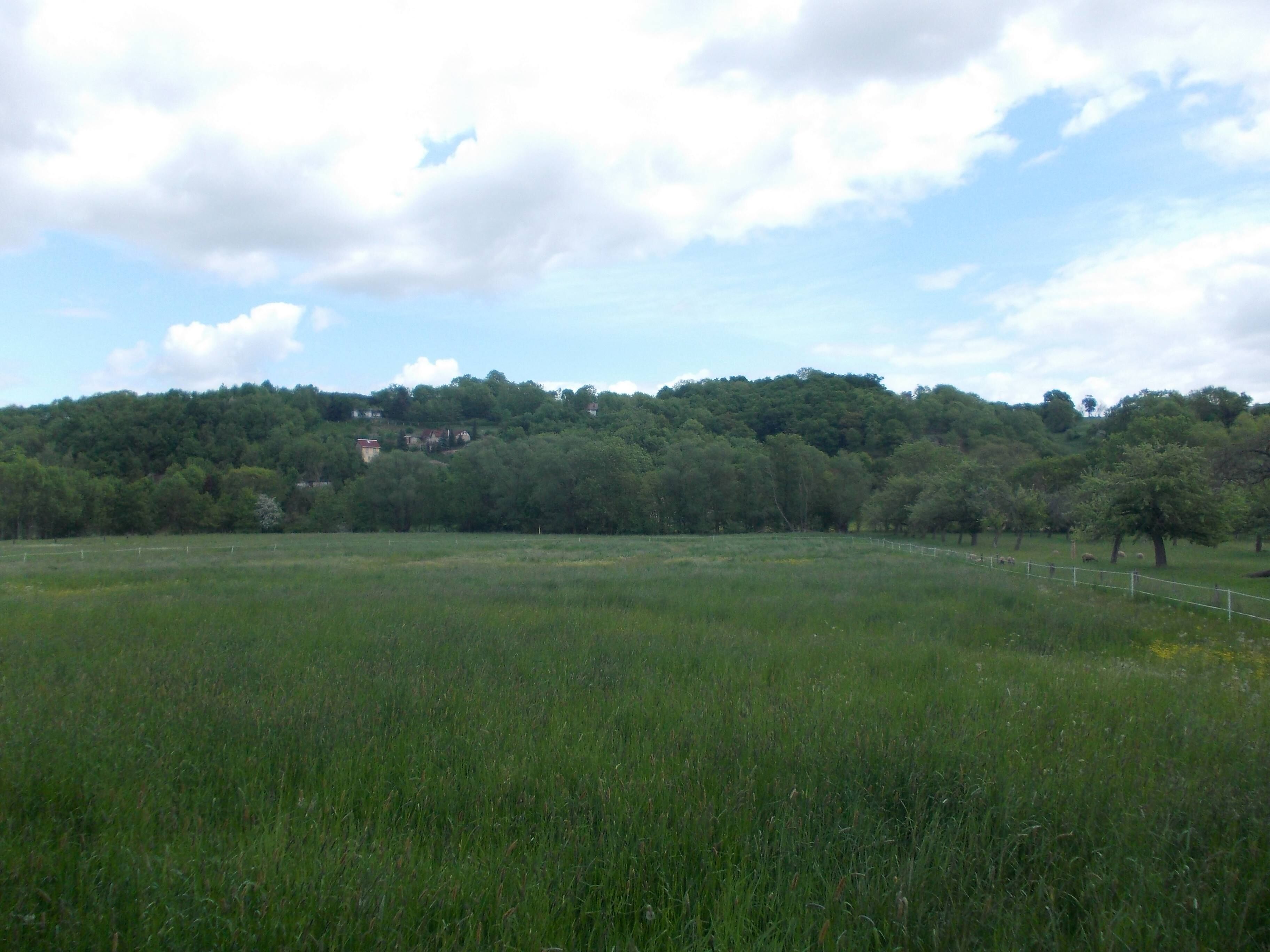Kroppen Valley near Schönburg (district: Burgenlandkreis, Saxony-Anhalt)