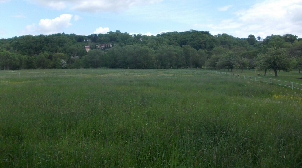 Kroppen Valley near Schönburg (district: Burgenlandkreis, Saxony-Anhalt)