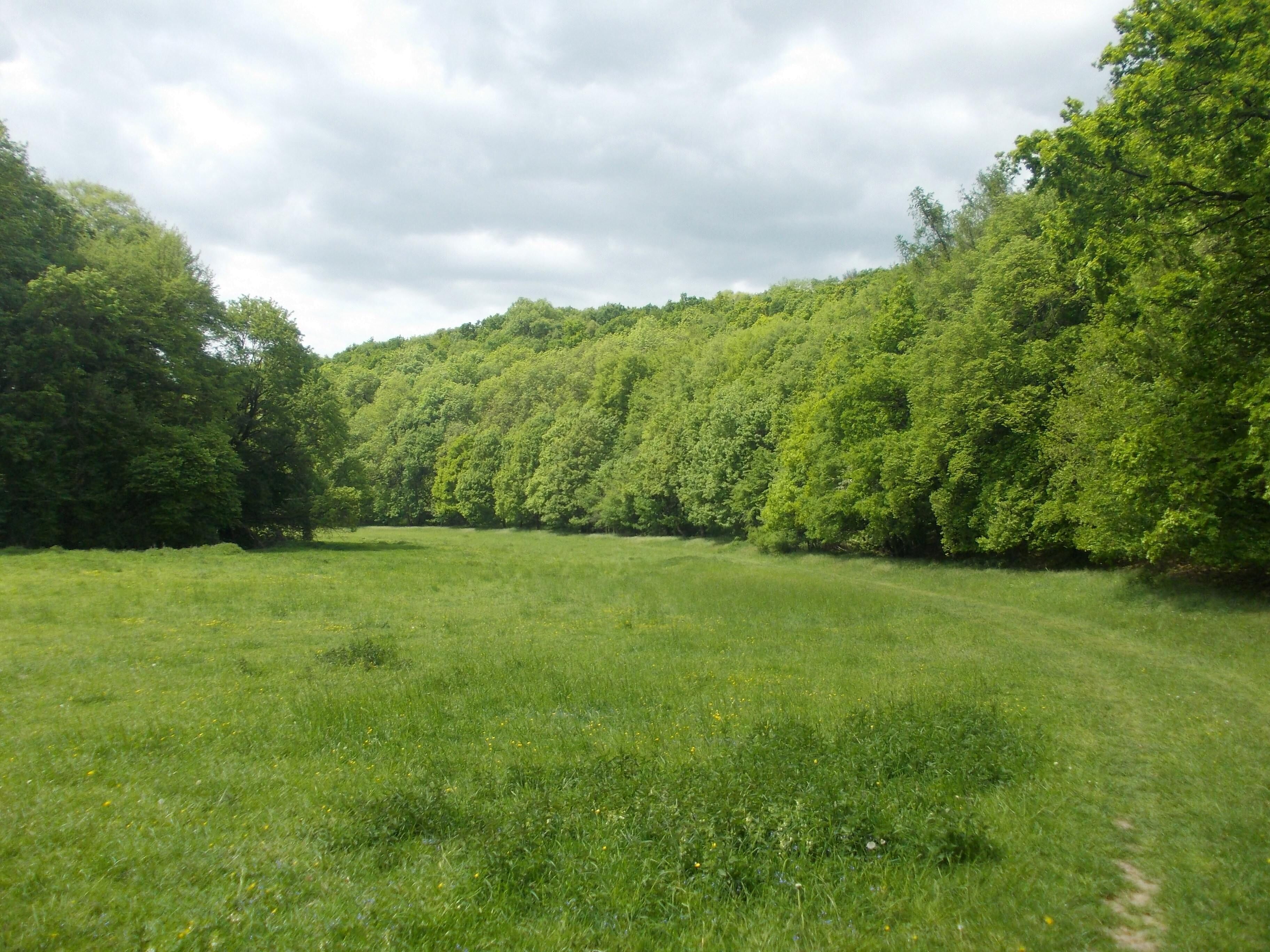 Frechmen's Valley east of Schönburg (district: Burgenlandkreis, Saxony-Anhalt) in Saale-Unstrut-Triasland Nature Park