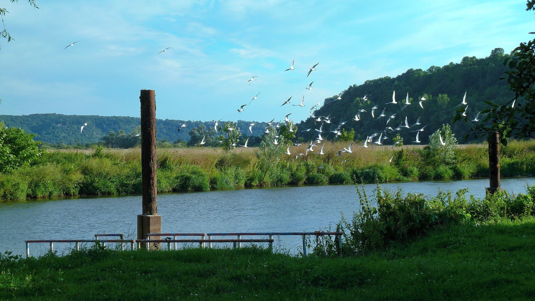 Schönburg am Morgen