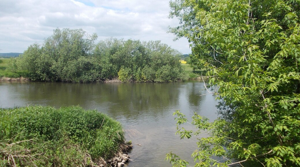 Confluence of the Wethau river with the Saale west of Schönburg (district: Burgenlandkreis, Saxony-Anhalt) in Saale-Unstrut-Triasland Nature Park