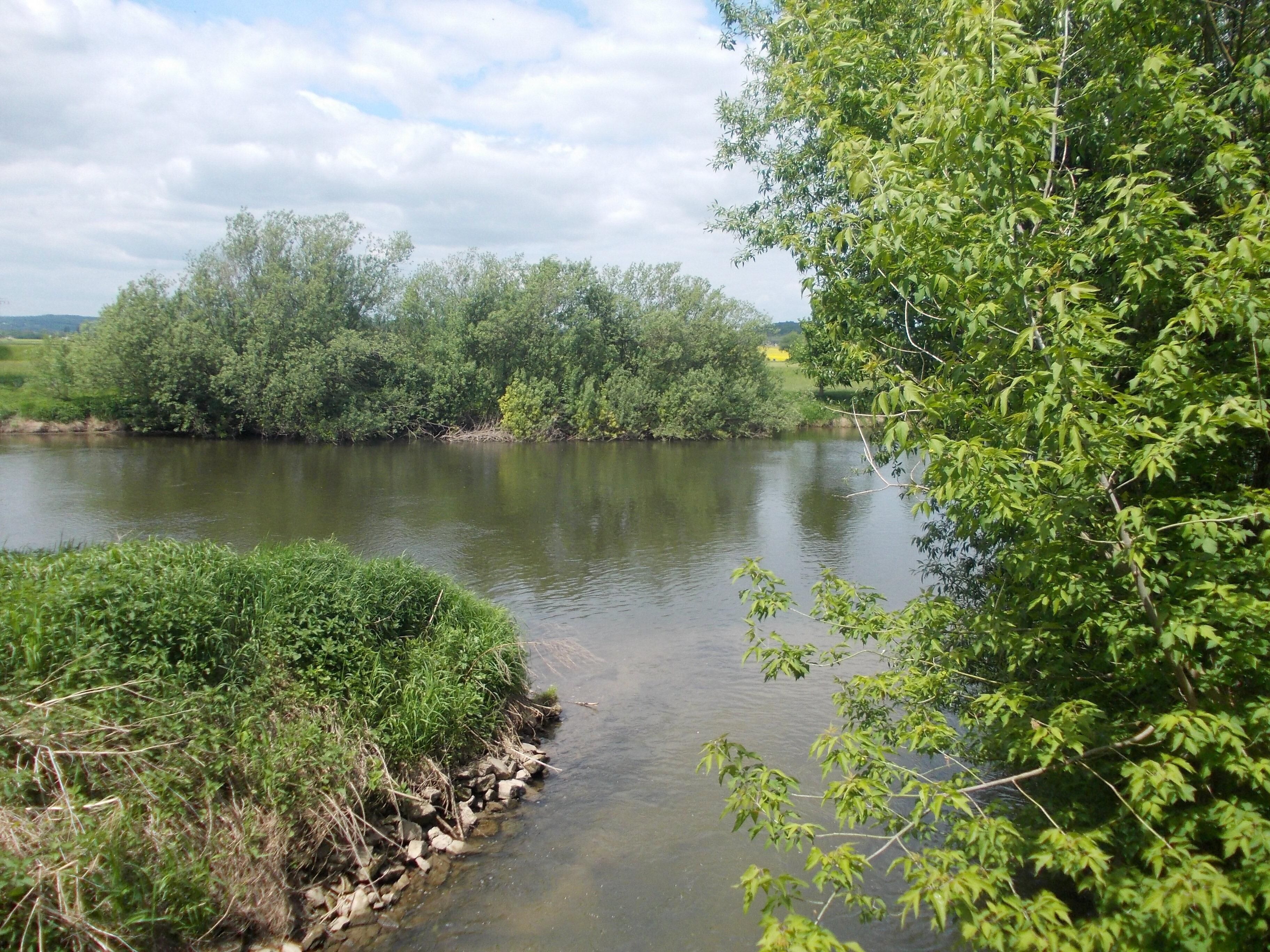 A calm river with dense greenery on both sides.