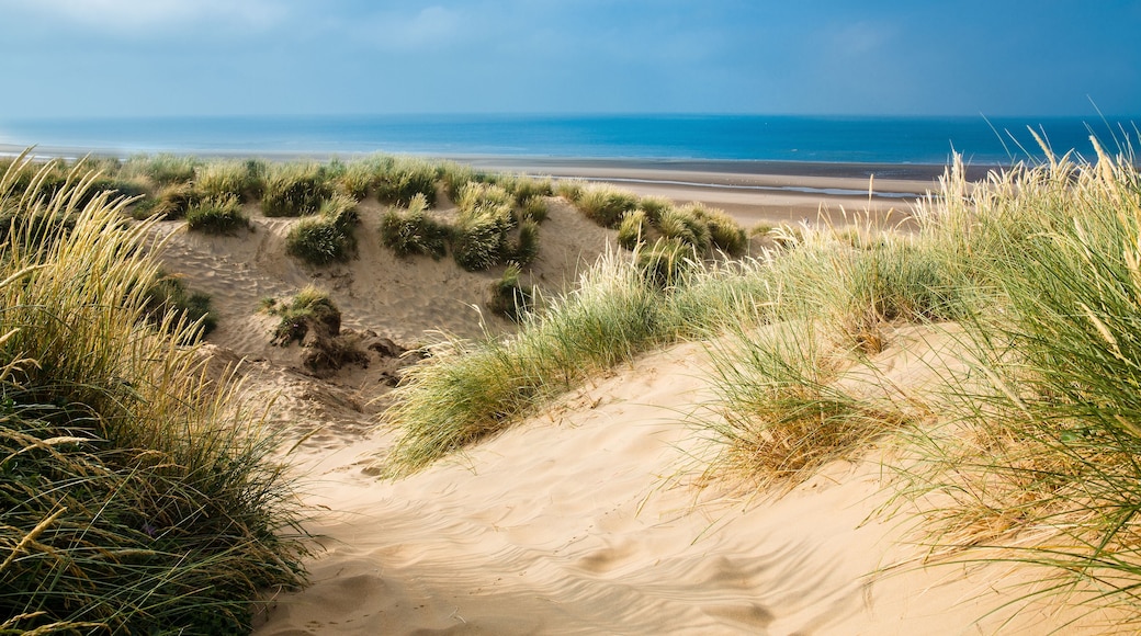 Sand dunes with sea in background on a sunny day in summer - Camber Sands, East Sussex, England, Shutterstock ID 201696383, Purchase Order: -