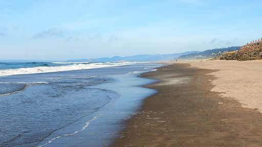 Neskowin