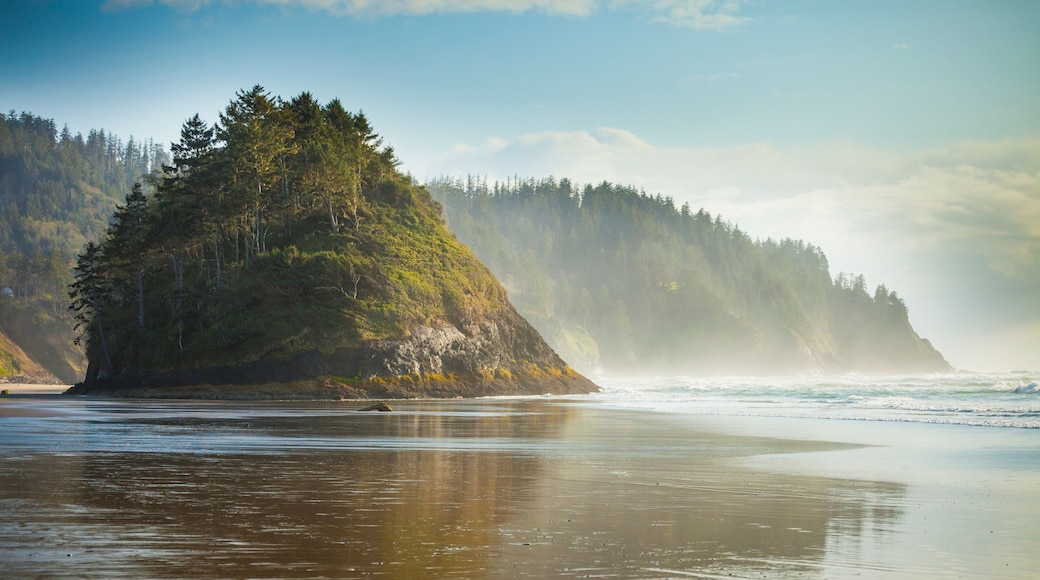 Proposal Rock at Neskowin Beach on the Oregon Coast.