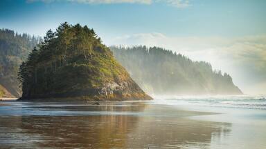 A coastal landscape with a forested island, sandy beach, and ocean waves.