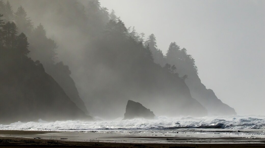 Neskowin