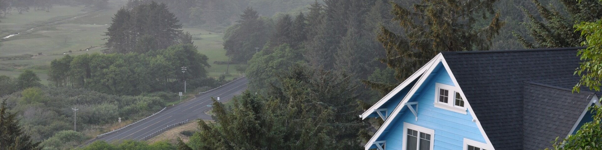 Neskowin is an interesting place. There is something about the geography that invites a sometimes very thick mist along that part of the coast--but only that part. Travel up the coast a bit and it dissipates. All this gives the little town a magical effect I won't soon forget. #Neskowin #Oregon #Fog #Mist #Beautiful #Outdoors #Coast #Trees