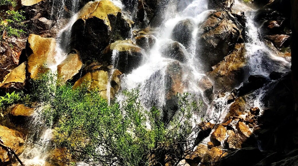 Grizzly Falls @ King's Canyon National Park
TakeAHike #NaturesBeauty #GetOutside #SaveOurPlanetDoYourPart #LightingIsEverything #TheGreatOutdoors