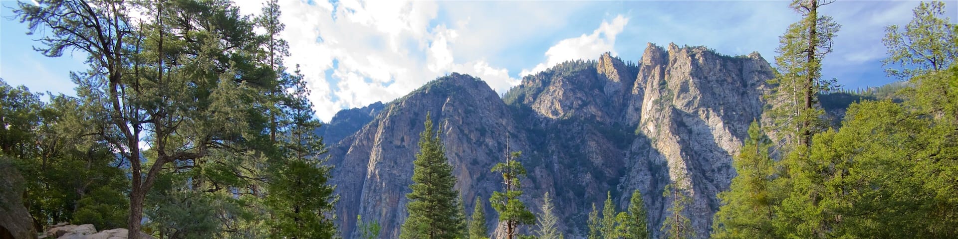 A river flowing through a rocky landscape with dense forests and towering mountains in the background.