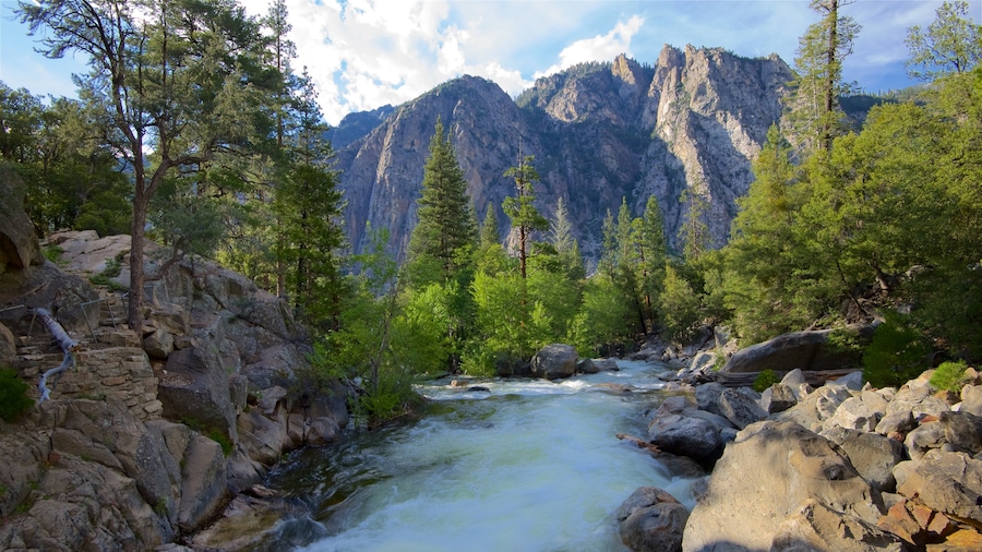 Un río serpentea a través de un paisaje rocoso, con densos bosques y montañas imponentes al fondo.
